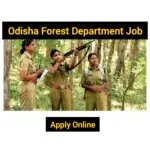 job of forest