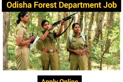 job of forest