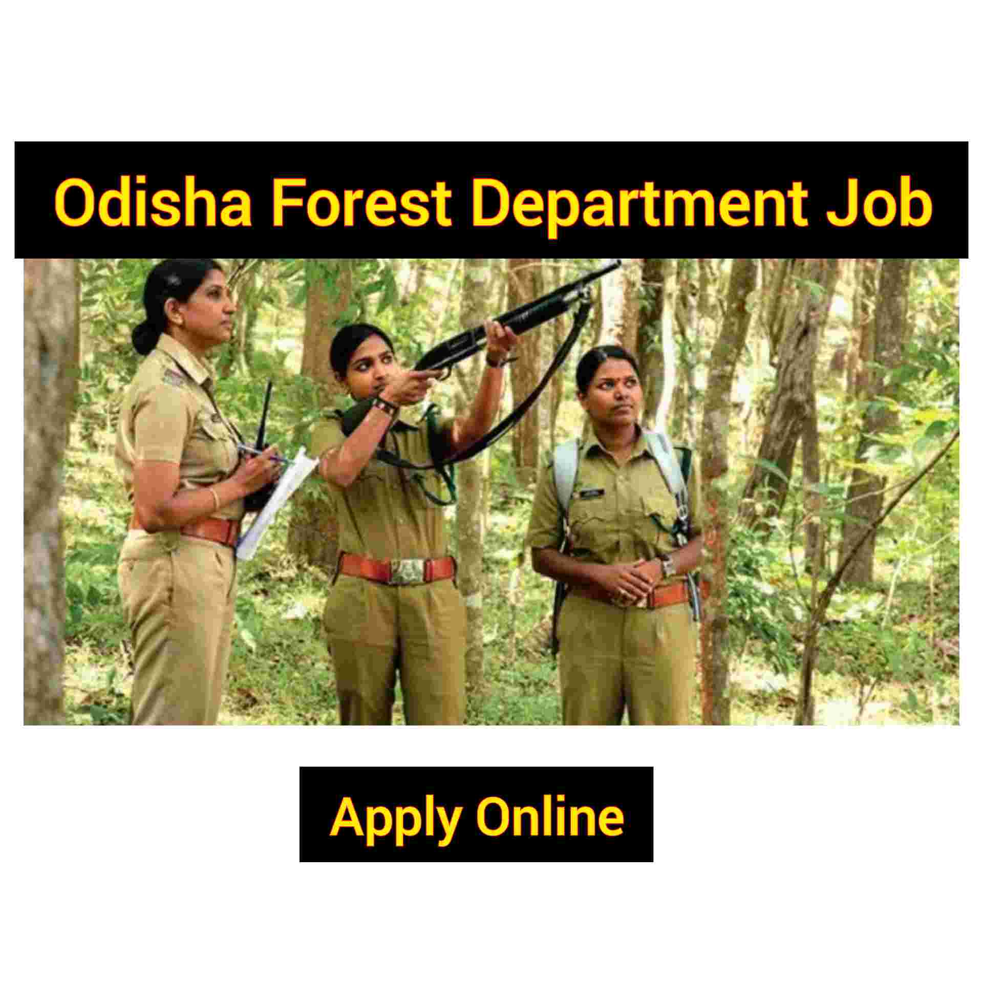 job of forest